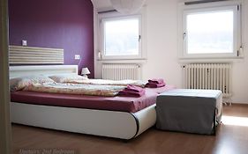 Entire House In Schwarzwald With Mountain View, Private Sauna, Gym, Garden And Terraces